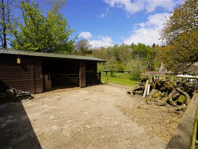 Picture 26